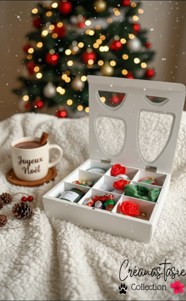 Coffret de Noël 🎄✨Edition Noël